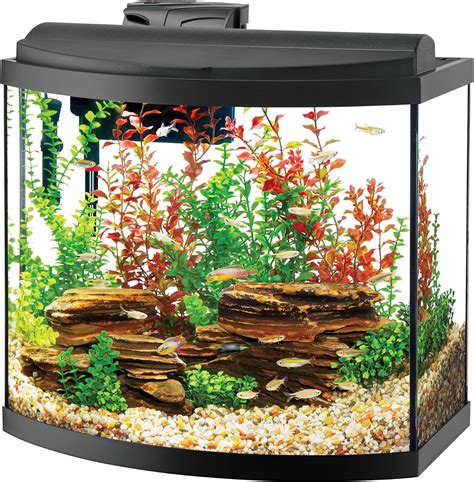 Bow front aquarium - A 54 gallon bow front aquarium is an ideal choice for any aquarist looking to create a stunning visual display. Its curved glass provides better viewing angles, and its spacious interior can accommodate numerous fish species as well as a variety of plants and decorations. This size tank also allows for extra filtration systems or other ...